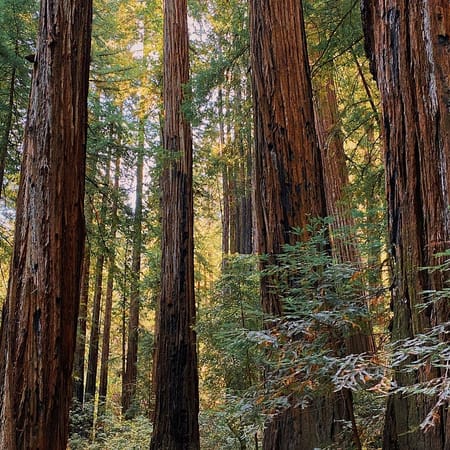 Image of: Weeks After We Moved Into Our First Home, We Were Forced to Evacuate