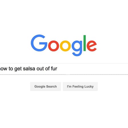 Image of: Questions for the Person Who Wore a Fur Coat to the Taqueria