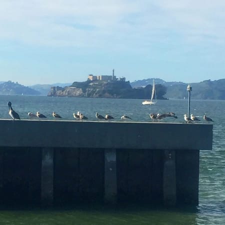 Image of: Untrue Urban Legends of San Francisco