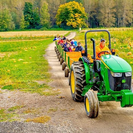 Image of: Here Are the Most Wholesome Fall Activities in the Bay