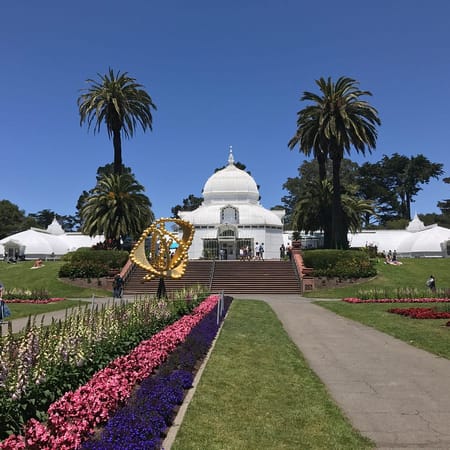 Image of: Conservatory of Flowers Plants That Remind Me of Exes