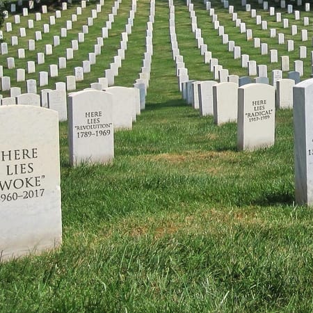 Image of: RIP “Woke”