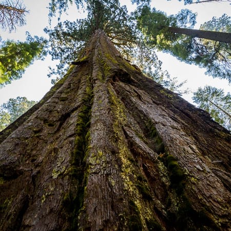 Image of: One-Star Yelp Reviews of California’s Most Beloved State Parks