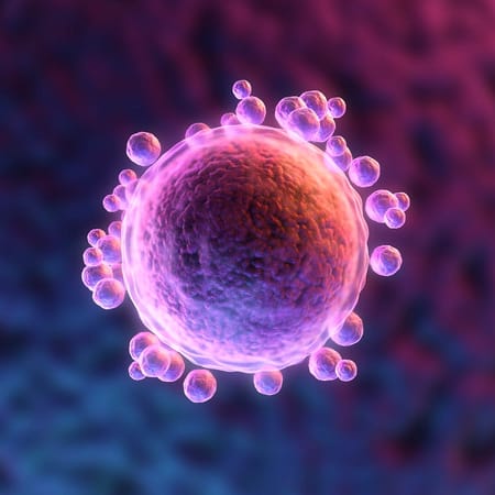 Image of: When It Comes to Fertility, Is More Information Really Best?