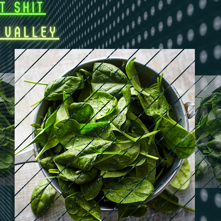 Image of: It’s True: MIT Researchers Have Taught Spinach to Send Emails