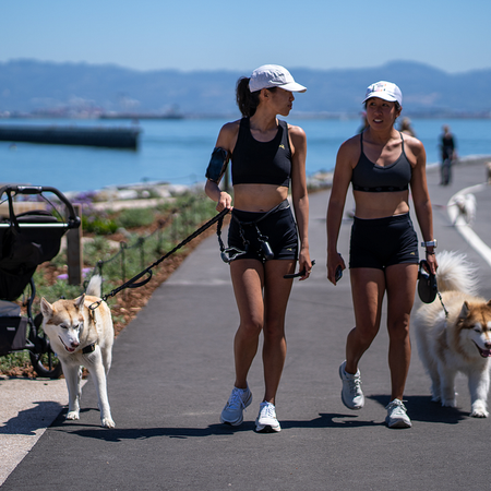 Image of: Why I love Mission Bay