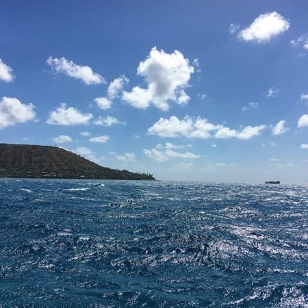 Image of: How to Get Scuba Certified in San Francisco