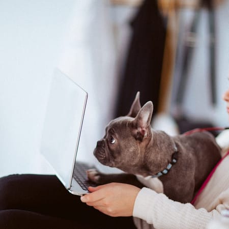 Image of: The Quest for Connection in a High School Zoom Class