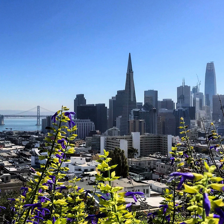 Image of: The secret lives of San Francisco’s miniature parks