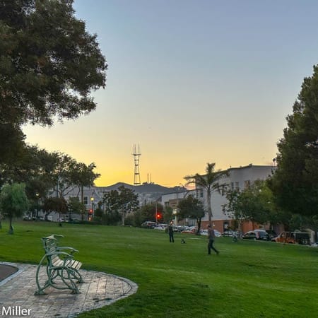 Image of: Two-Year-Old Neighborhood Michelin Revamped on Precita Park: Marlena