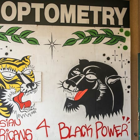 Image of: Avoiding the ‘Asian vs. Black’ Trap