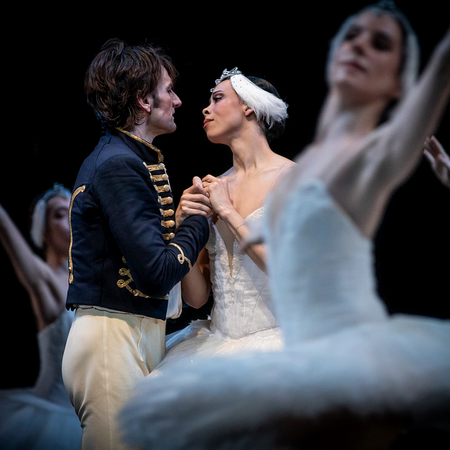 Image of: I just saw Swan Lake for the first time — now I have questions