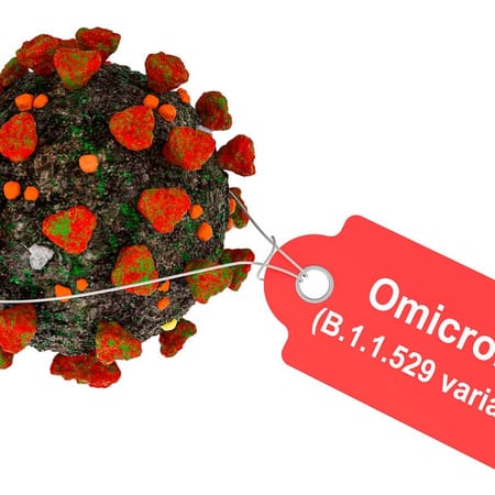 Image of: When Will The Omicron Arrive in the Bay Area