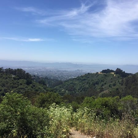 Image of: Eighteen Unique Places to Go in the Bay Area in 2018