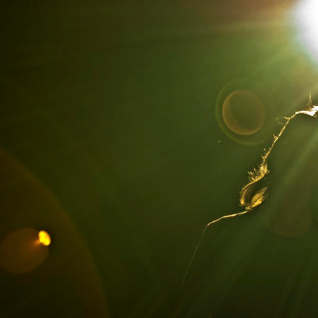 Image of: Is San Francisco’s Music Scene Dead?