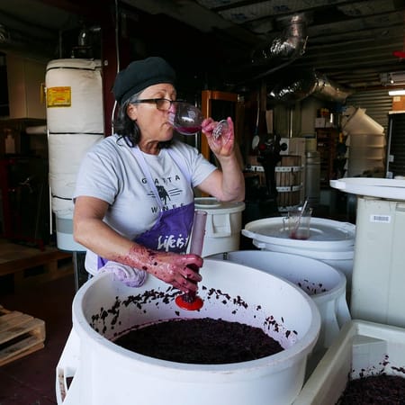 Image of: Meet SF’s Only Garage Winemaker