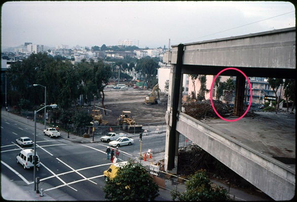 Image of: The Palm at San Francisco's Days Inn Has Seen a Lot