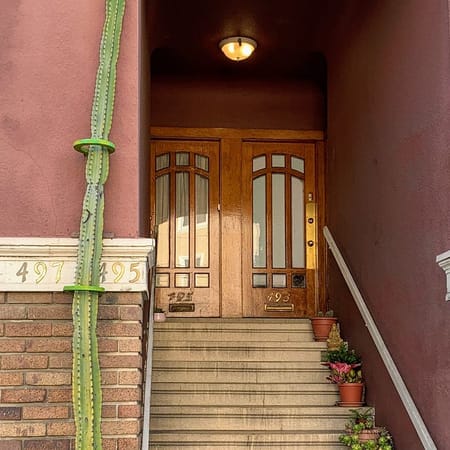 Image of: My Favorite Corner of SF: Anza and Fourth Avenue in the Inner Richmond