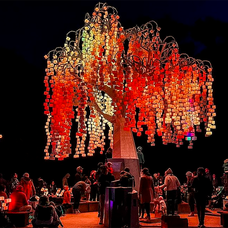 Image of: “Entwined” gives San Franciscans all we want for Christmas: More lights