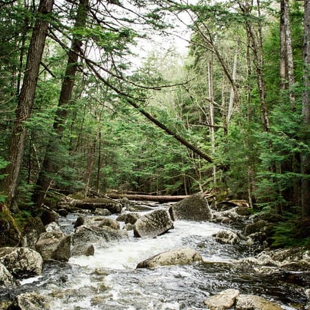 Image of: The Best Hidden Waterways in San Francisco