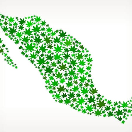 Image of: What Does Mexico Decriminalizing Cannabis Mean for the United States?