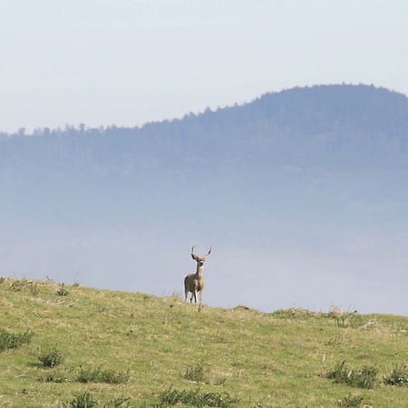 Image of: TBI’s 5 Best: Things You Can’t Do during the Government Shutdown