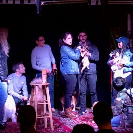 Image of: All the Bay Area Doggo Events for the Borkin’ Best Time