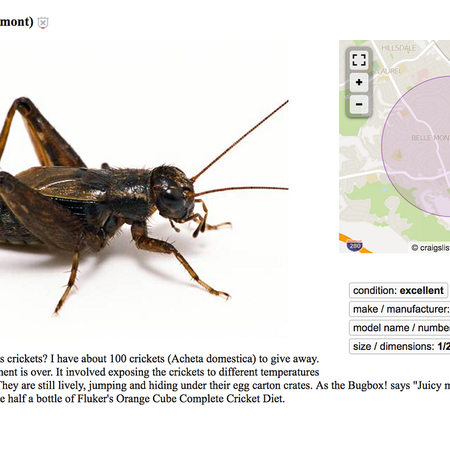 Image of: The Weirdest Things for Sale on Craigslist in the Bay Area This Week