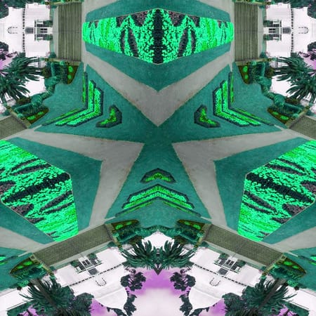 Image of: Took Acid and Walked Through Golden Gate Park