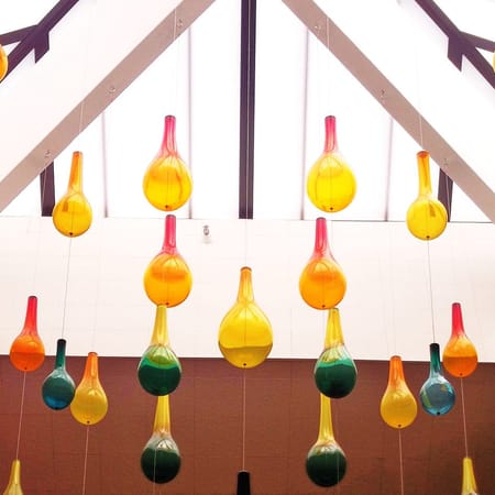 Image of: Davis Makes for a Great Day Trip. Seriously.