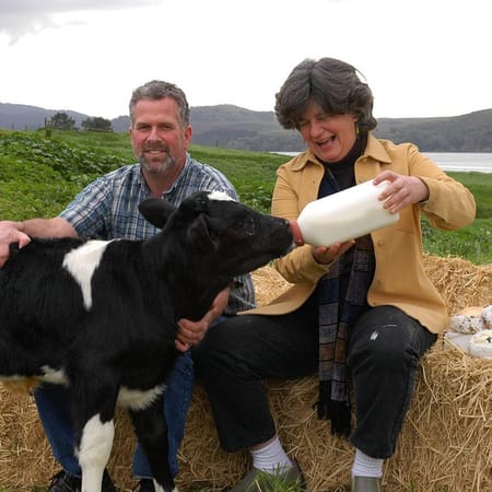 Image of: How to Start a Culture: Meet the Matriarchs behind Cowgirl Creamery