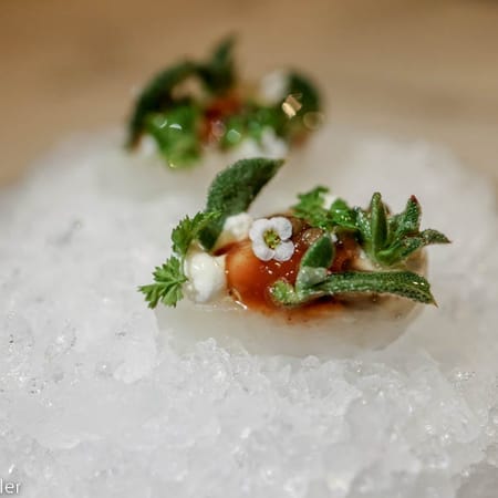 Image of: New Chef with Stockholm & London Roots at Reborn, Michelin-Starred Sons & Daughters