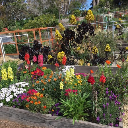 Image of: San Francisco’s Secret Garden of Solitude