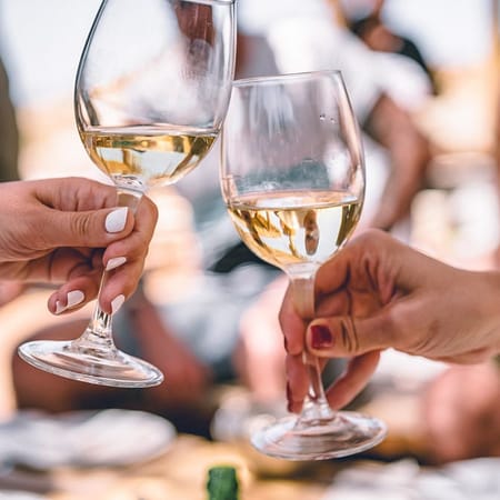 Image of: The Best Sonoma Wineries With Outdoor Patios