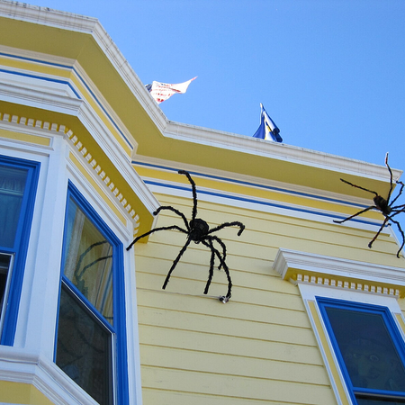 Image of: How to Halloween in San Francisco 2024