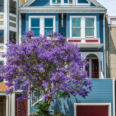 Image of: It’s Time For Me to Leave San Francisco