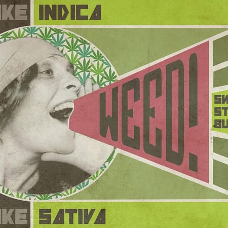 Image of: My Life-Changing Visit to a Cannabis Clinic