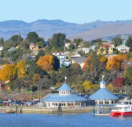 Image of: In Defense of Vallejo