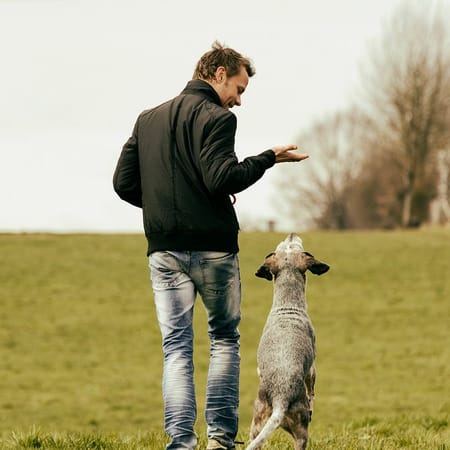 Image of: Specific Ideas to Stay Sane as We Wait for Election Results