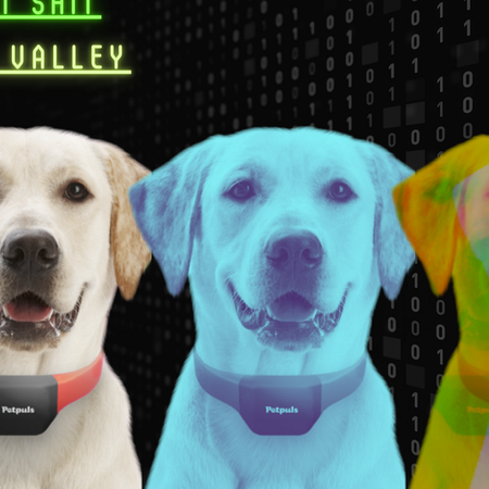 Image of: This Start-Up Charges $100 To Tell You If Your Dog is Happy or Sad