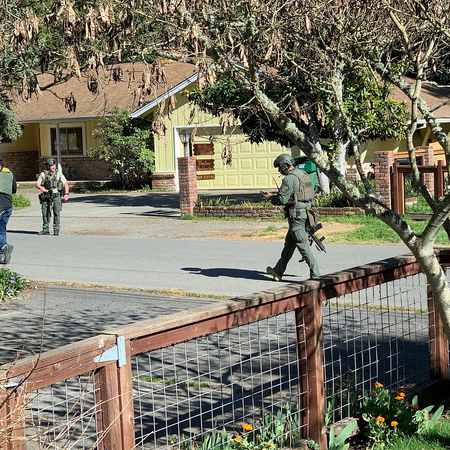 Image of: A Killer on the Loose Near San Francisco