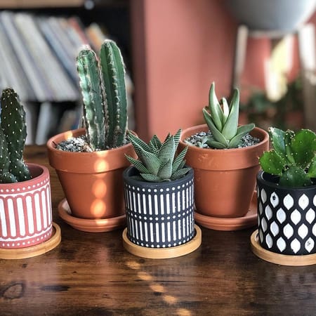 Image of: Unique Mother's Day Gift Ideas for Bay Area Moms