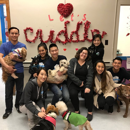 Image of: Tell Us What You Love, and We’ll Tell You Where to Volunteer