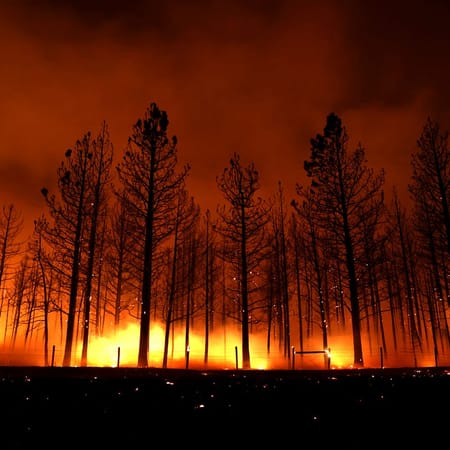Image of: I Lost My Friend in a Firestorm. Then a Massive Forest Fire Almost Burned Down My Brother’s House.